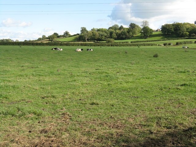 Foto “Hindlip” tomada por Whatlep (CC BY-SA); recorte de la original