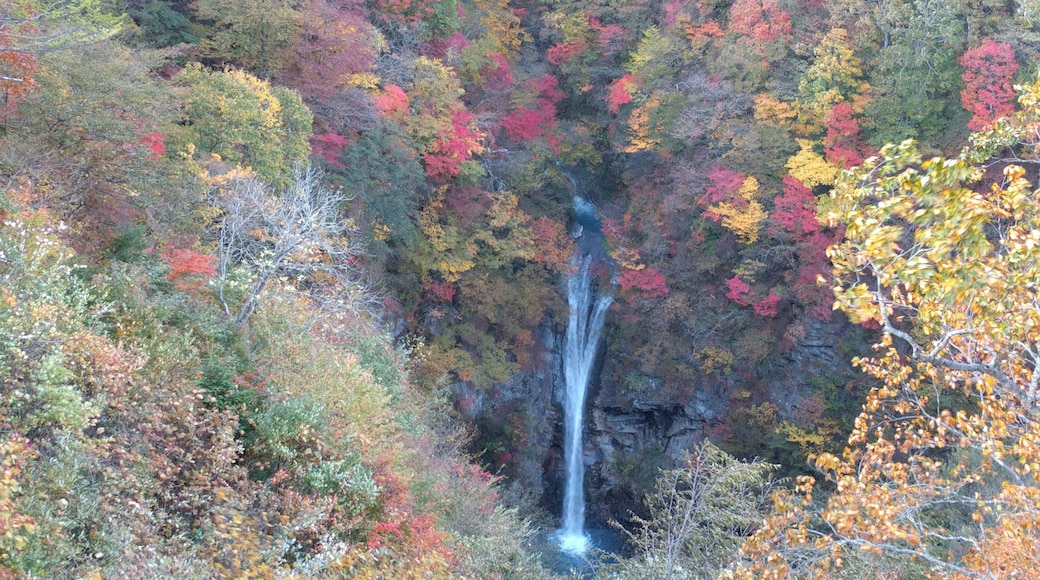 駒止の滝。栃木県那須郡那須町湯本。
