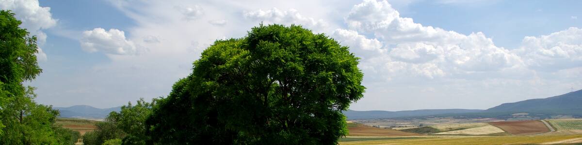 Photo "on route from Tudela to Logrono" by Karsten Wentink (Creative Commons Attribution-Share Alike 2.0) / Cropped from original