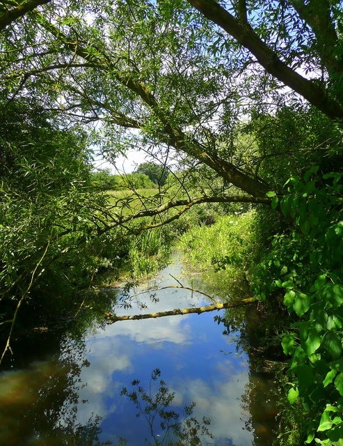 The Emm Brook - view downstream Looking north from Toutley Bridge.