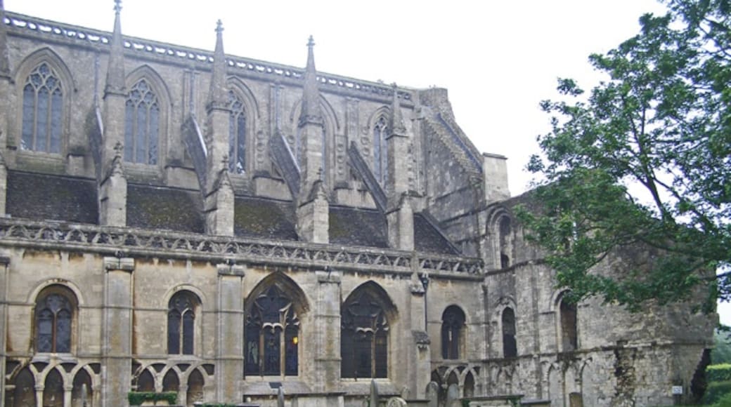 Foto „Malmesbury Abbey“ von C Michael Hogan (CC BY-SA)/zugeschnittenes Original
