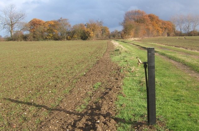 Billede "Aldham" af Andrew Hill (CC BY-SA) / beskåret fra det originale billede