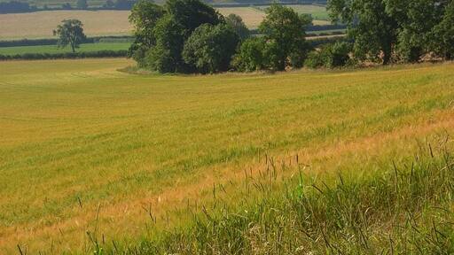 Photo "Maiden Bradley with Yarnfield" by Andrew Smith (CC BY-SA) / Cropped from original