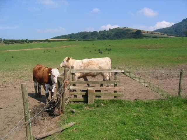 Photo "Hood Grange" by Stephen Horncastle (CC BY-SA) / Cropped from original