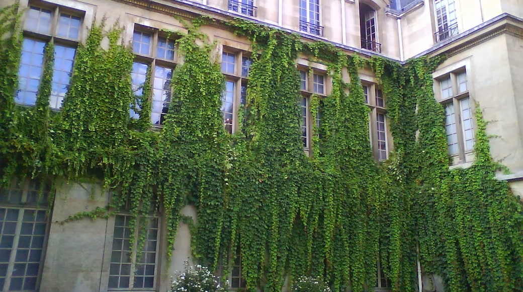 Photo "Carnavalet Museum" by KrisMiz2018 (page does not exist) (CC BY-SA) / Cropped from original