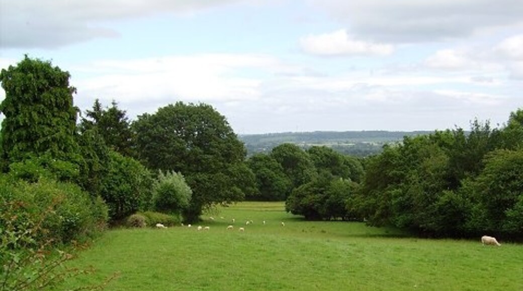 Foto “Castillo de Richard” tomada por Richard Webb (CC BY-SA); recorte de la original
