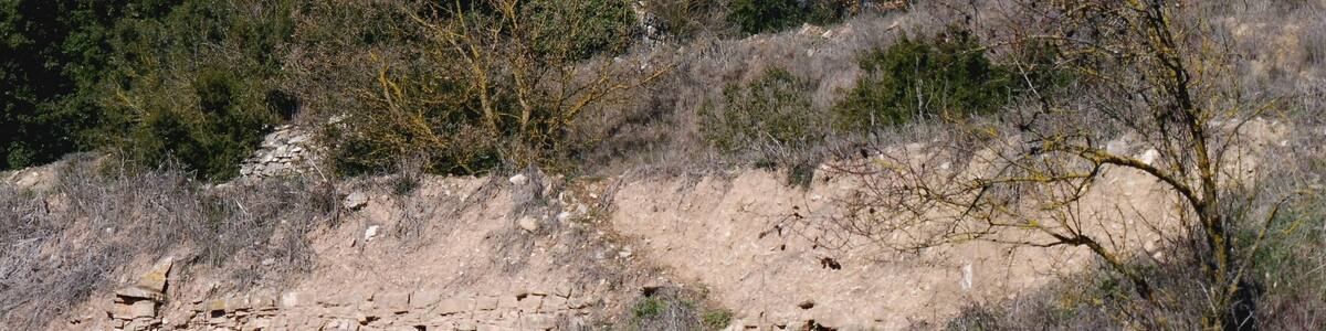 Photo "Castell de Montesquiu (Pujalt) This is a photo of a monument indexed in the Spanish heritage register of Bienes de Interés Cultural under the reference RI-51-0005610." by Isidre blanc (Creative Commons Attribution-Share Alike 4.0) / Cropped from original