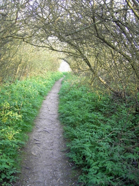 "Caddington"-foto av John Yaxley (CC BY-SA) / Urklipp från original