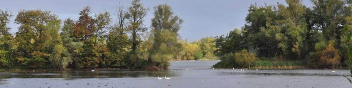 Photo "Little Paxton Nature Reserve" by Mick Lobb (Creative Commons Attribution-Share Alike 2.0) / Cropped from original
