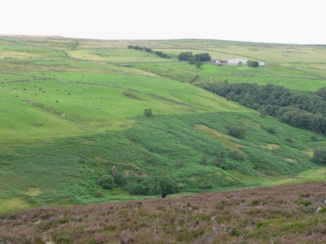 Photo "Muggleswick" by Mike Quinn (CC BY-SA) / Cropped from original