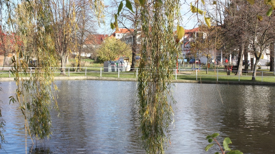 Photo "Zschortau (Rackwitz), the pond" by Dguendel (page does not exist) (Creative Commons Attribution 3.0) / Cropped from original