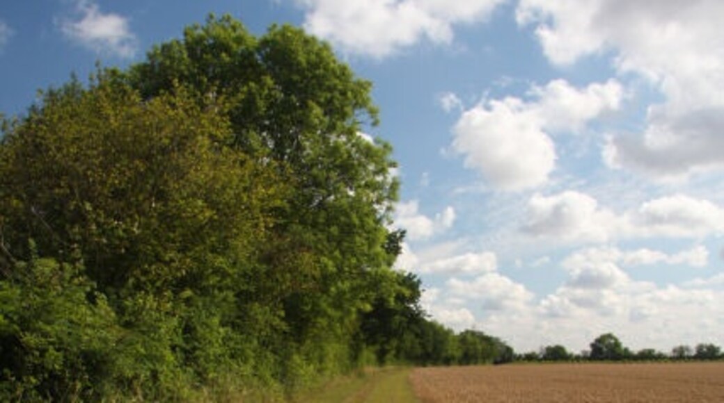 Foto "Belchamp Otten" por Bob Jones (CC BY-SA) / Recortada de la original