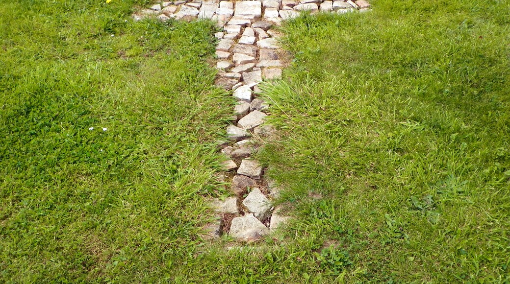 Billede "Downley" af AnemoneProjectors (CC BY-SA) / beskåret fra det originale billede