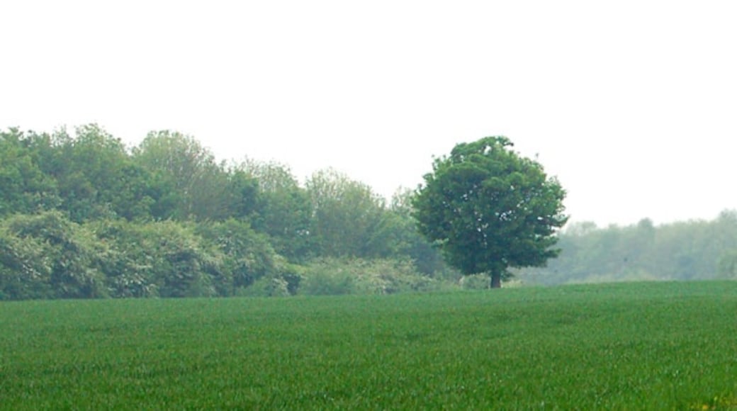 Foto "Long Itchington" oleh Andy F (CC BY-SA) / Dipotong dari foto asli
