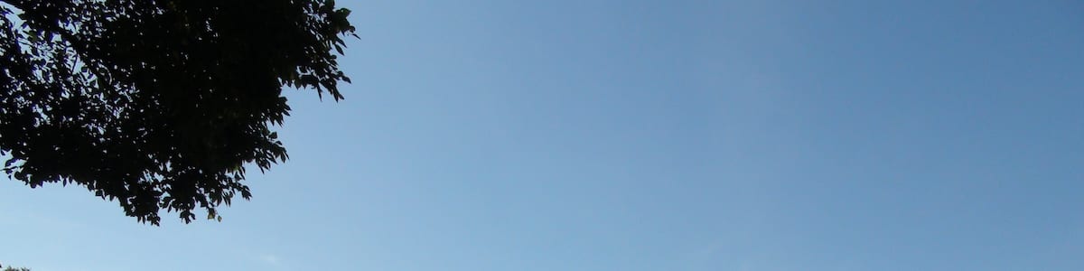 Photo "Outside of Shingen embankment" by さかおり (Creative Commons Attribution-Share Alike 3.0) / Cropped from original