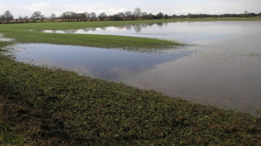 "Loppington"-foto av Michael Patterson (CC BY-SA) / Urklipp från original