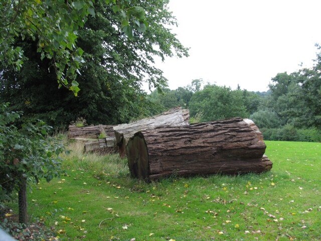 Foto „Dingley“ von Andrew Tatlow (CC BY-SA)/zugeschnittenes Original