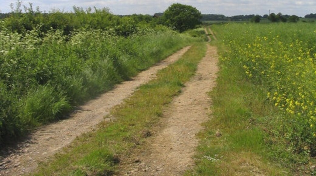 "Bobbingworth"-foto av John Winfield (CC BY-SA) / Urklipp från original
