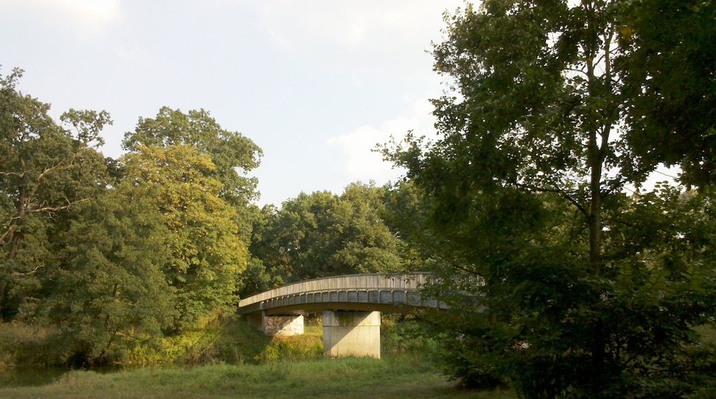 Brücke über die Jonitzer Mulde im Vorderen Tiergarten in Dessau