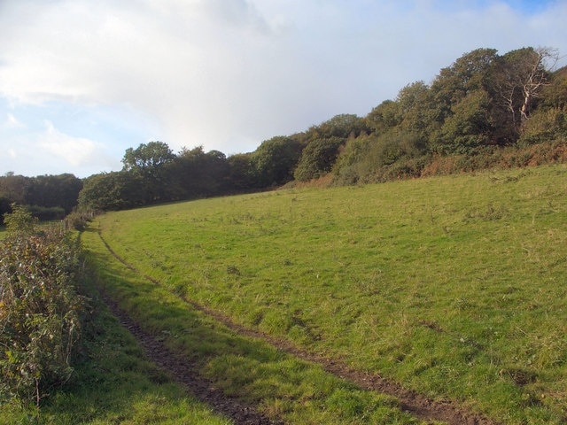 Westward view near the southern edge of Coed Tonmawr. Photograph taken at about the same spot as 991853 but looking in the opposite, westward direction along the public footpath which runs to the south of the wood Coed Tonmawr.