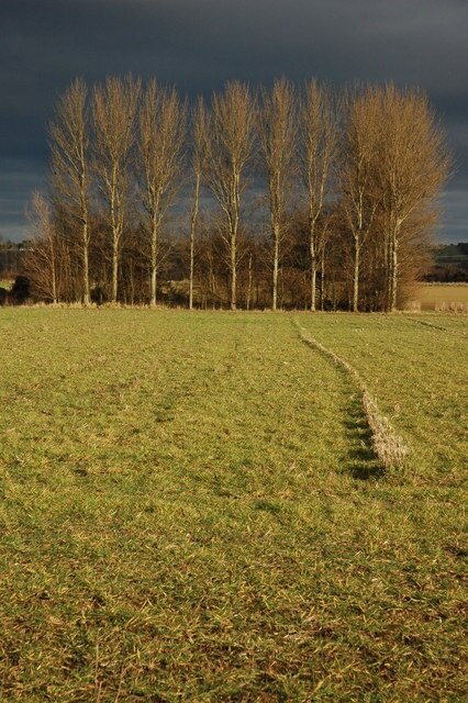 Foto “Wick” tomada por Philip Halling (CC BY-SA); recorte de la original