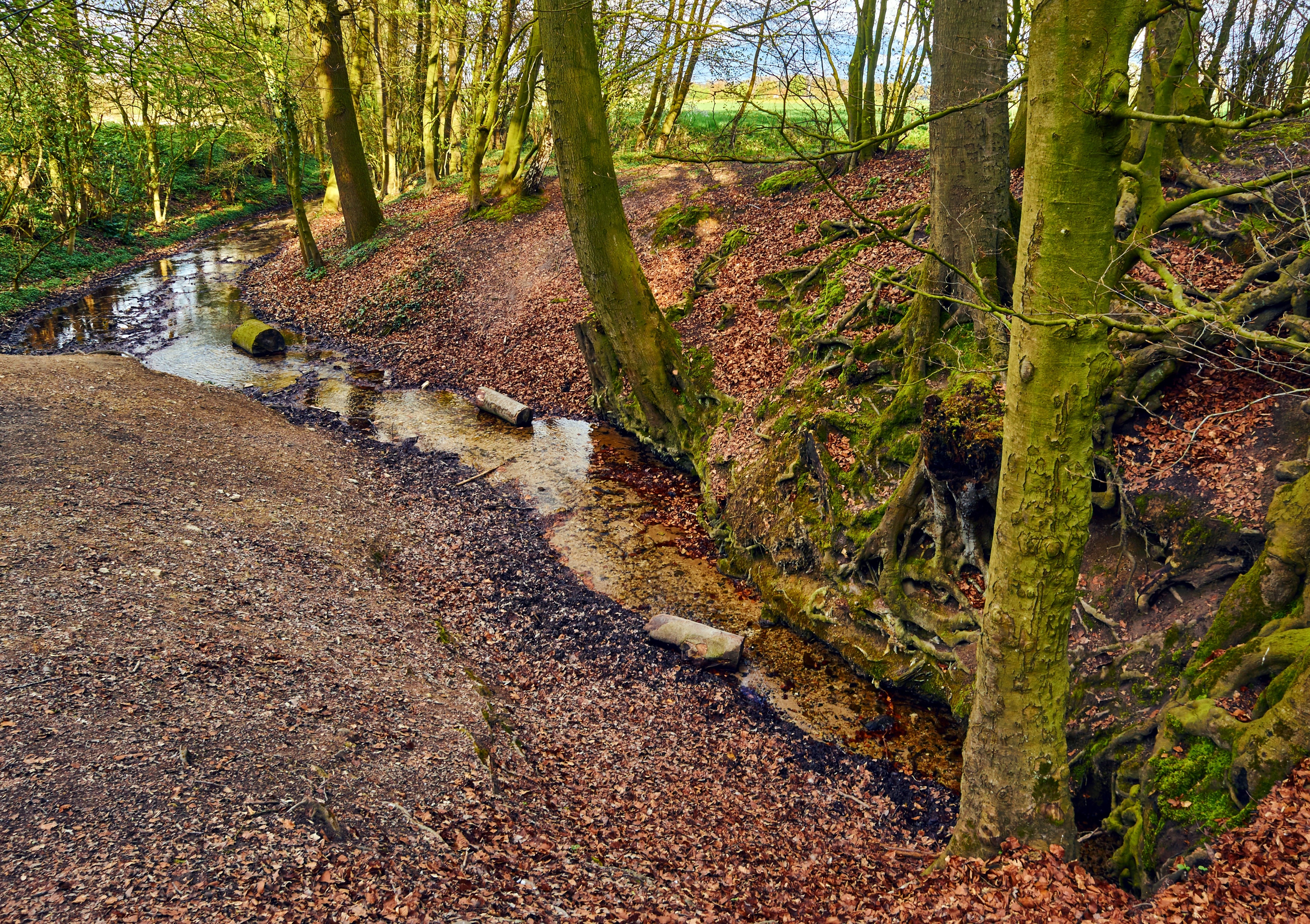 Foto "Horstmar" de Günter Seggebäing, Coesfeld (CC BY-SA) / Recortada de la original