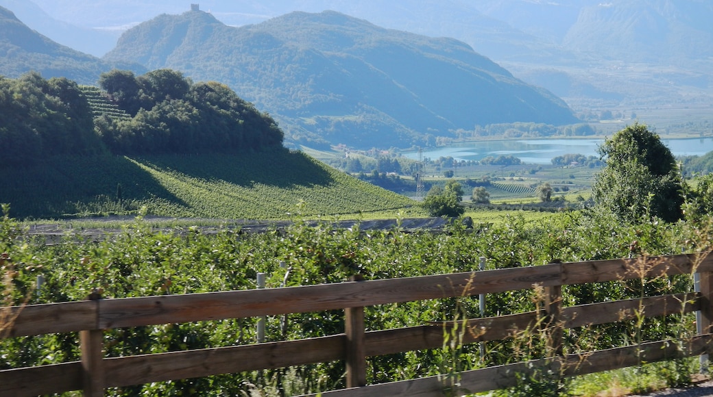 Photo "Caldaro Sulla Strada del Vino" by qwesy qwesy (CC BY) / Cropped from original