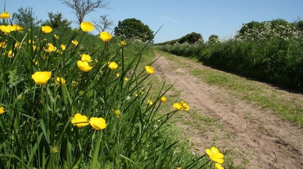 Foto “Fenton” tomada por Richard Croft (CC BY-SA); recorte de la original