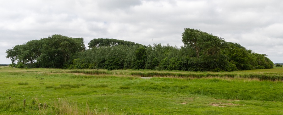 Designation: New Oevenum's duck decoy 'Belgrad' Location: Norderweg Place: Municipality Oevenum, Collective municipality Föhr-Amrum, District Nordfriesland, Schleswig-Holstein, Federal Republic of Germany Description: Device to capture wild ducks Object identification: 9579