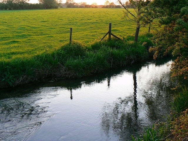 Photo "Latton" by Brian Robert Marshall (CC BY-SA) / Cropped from original