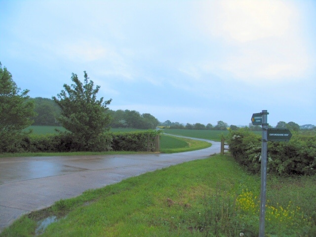 Towards Oddington Grange. The Oxfordshire Way continues from this point, down the lane past Oddington Grange. Dawn, on a wet and blustery day.