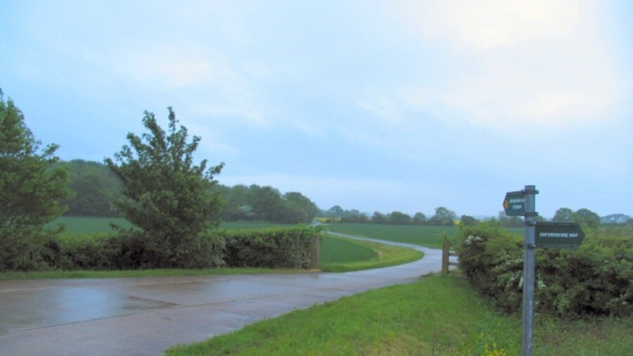Photo "Towards Oddington Grange. The Oxfordshire Way continues from this point, down the lane past Oddington Grange. Dawn, on a wet and blustery day." by Roger May (Creative Commons Attribution-Share Alike 2.0) / Cropped from original