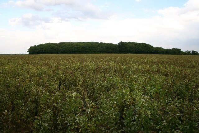 Photo "Denham" by Bob Jones (CC BY-SA) / Cropped from original