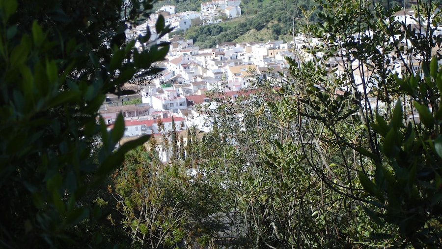 Photo "Vista parcial de Ubrique desde la calzada romana" by El Pantera (Creative Commons Attribution-Share Alike 4.0) / Cropped from original