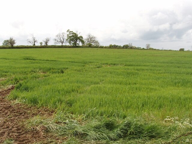 "Hoggeston"-foto av David Hawgood (CC BY-SA) / Urklipp från original