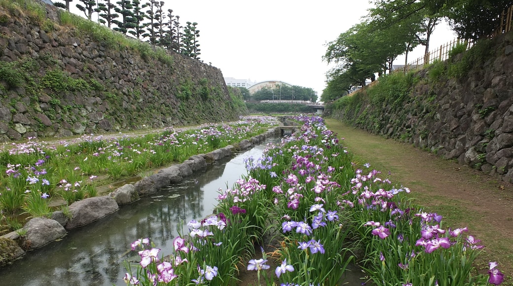 Photo "Shimabara Castle" by sk01 (CC BY-SA) / Cropped from original