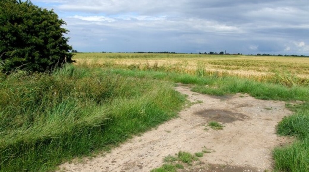 Kuva ”Sibsey” käyttäjältä Dave Hitchborne (CC BY-SA) / rajattu alkuperäisestä kuvasta