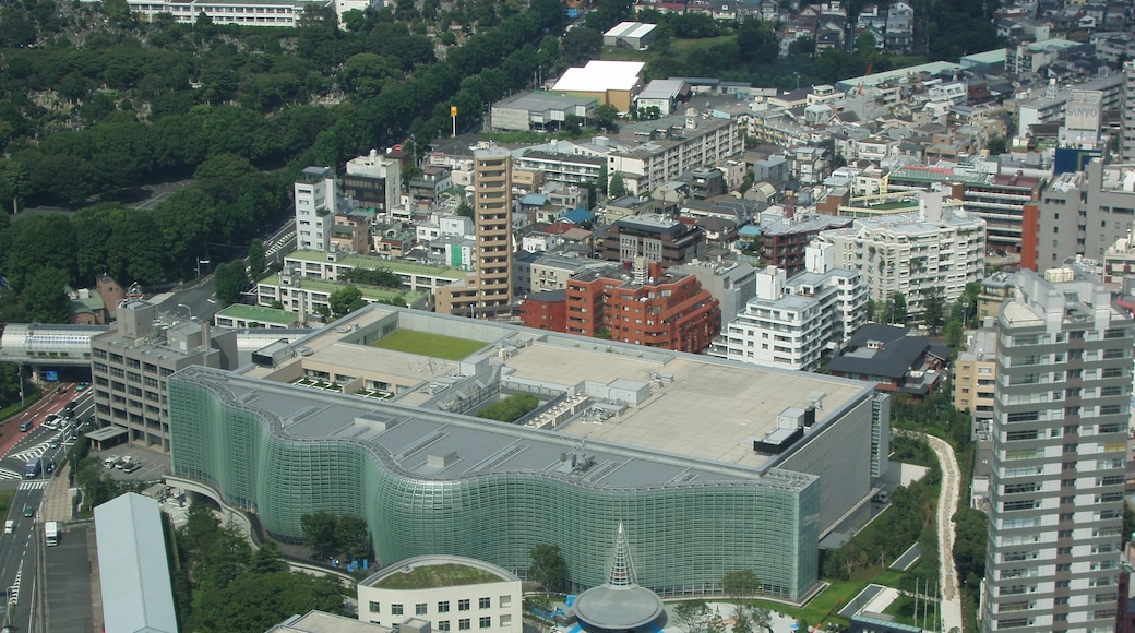 Foto „Nationales Kunstzentrum Tokio“ von ikm (CC BY-SA)/zugeschnittenes Original