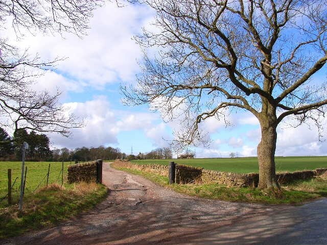 Photo "Brandon and Byshottles" by Oliver Dixon (CC BY-SA) / Cropped from original