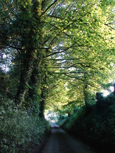 Ảnh "Lusby with Winceby" của Ian Paterson (CC BY-SA) / Cắt từ ảnh gốc