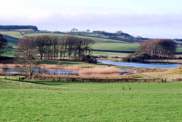 Field next to Loch Ken, Crossmichael Farmland - Loch Ken in the background.