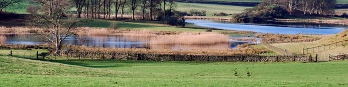Photo "Field next to Loch Ken, Crossmichael Farmland - Loch Ken in the background." by Debbie Turner (Creative Commons Attribution-Share Alike 2.0) / Cropped from original