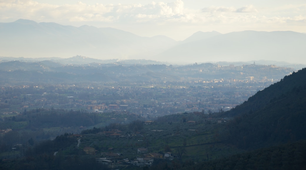 Photo "Alatri" by asocio (CC BY) / Cropped from original