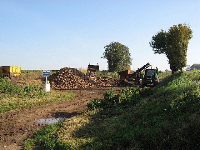 Kuva ”North Pickenham” käyttäjältä Roger Gilbertson (CC BY-SA) / rajattu alkuperäisestä kuvasta
