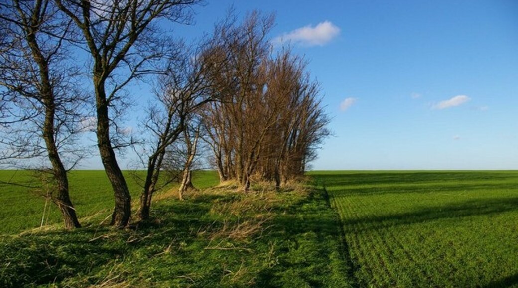 "Mundon"-foto av Glyn Baker (CC BY-SA) / Urklipp från original