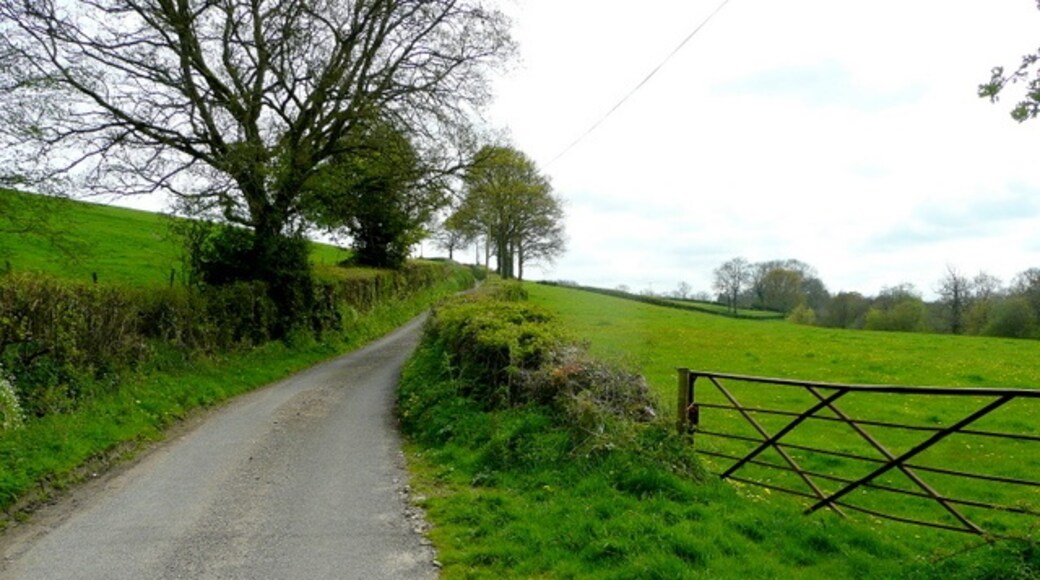 "Whitestaunton"-foto av Jonathan Billinger (CC BY-SA) / Urklipp från original