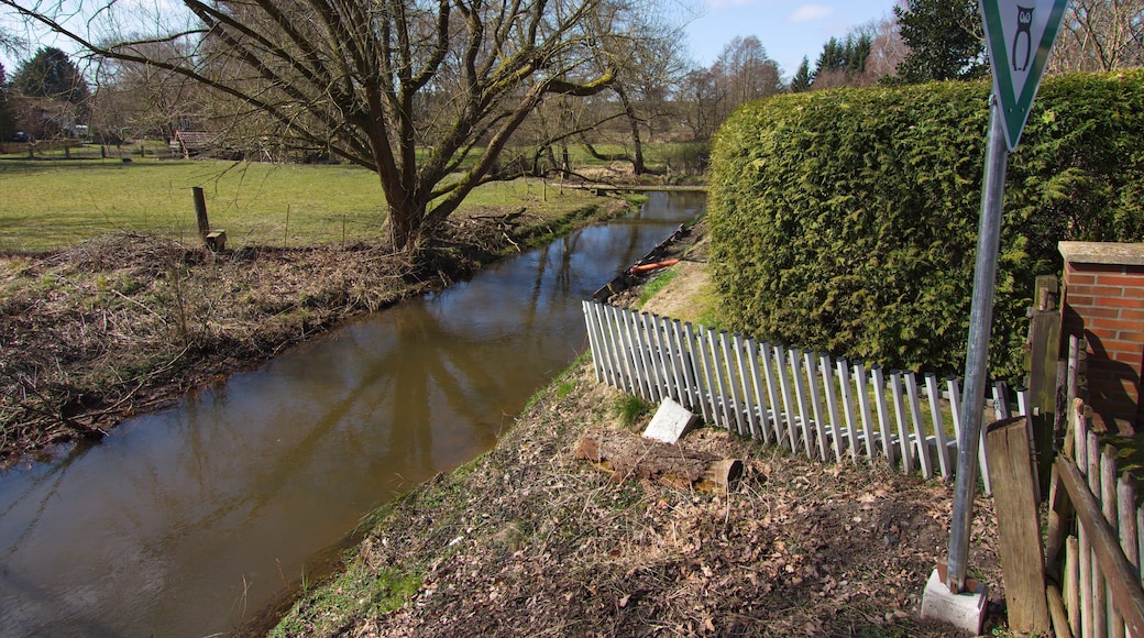 Foto "Steinbeck an der Luhe" por Losch (CC BY-SA) / Recortada de la original
