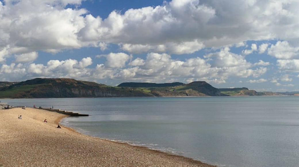 Photo "Lyme Regis Beach" by Andy Stephenson (CC BY-SA) / Cropped from original
