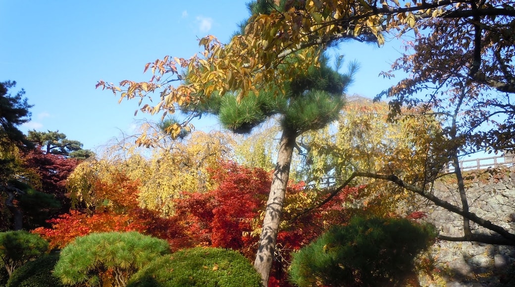 Foto "Parque de Hirosaki" de Feri88 (CC BY) / Recortada do original