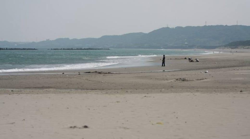 Photo "Sagara Beach" by gundam2345 (CC BY) / Cropped from original